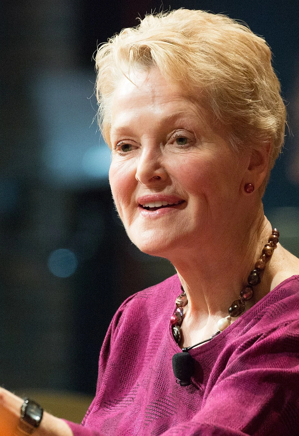 Swanee Hunt Net Worth: Estimate, Sources, and How It’s Built